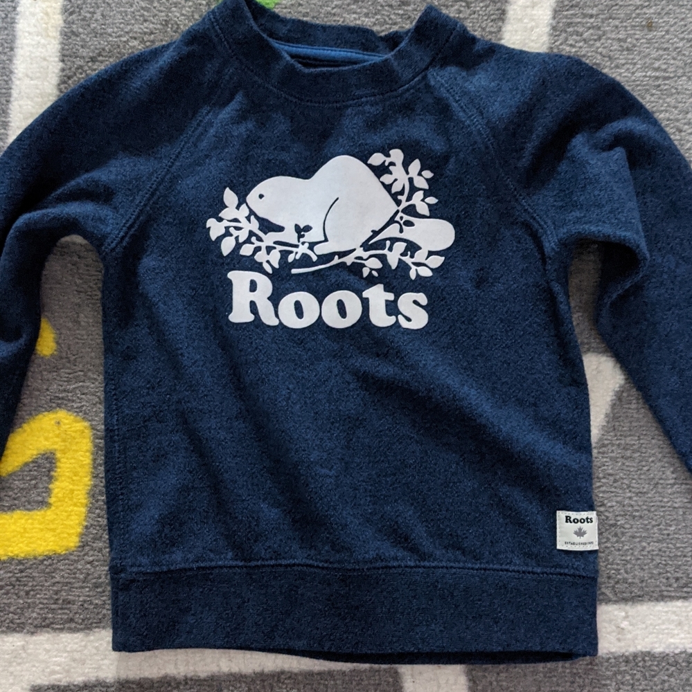Toddler Boys Roots sweater